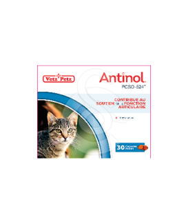Antinol chat - placedesvetos.com