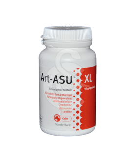 Art-Asu XL - placedesvetos.com