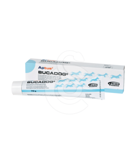 Bucadog - placedesvetos.com