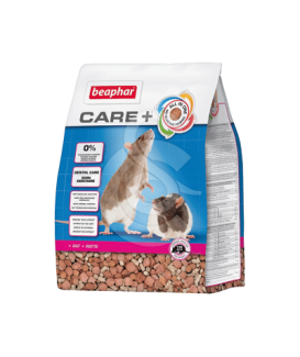 Care + Rat - placedesvetos.com