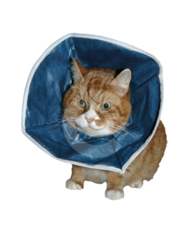 Carcan souple Buster Soft Collar UU - placedesvetos.com