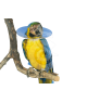 Carcan pour oiseau UU