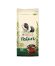 Cavia Nature (Cobaye)