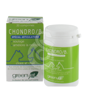 Chondro B - placedesvetos.com