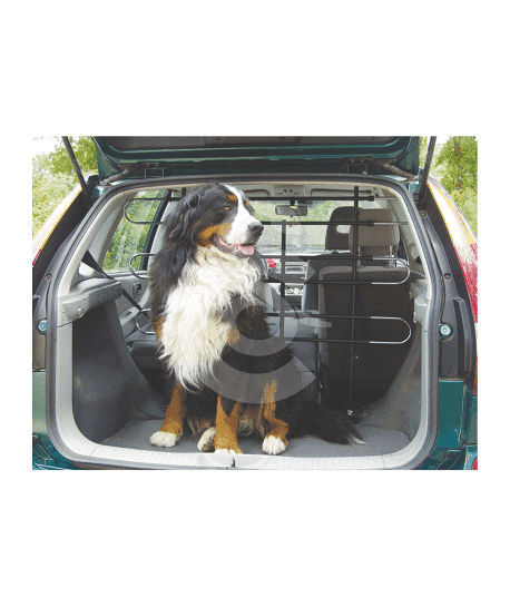 Filet pare-chien en nylon pour voiture - placedesvetos.com