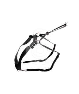 Collier éducation Maxi Leader - placedesvetos.com