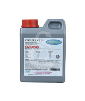 Complexe 24 - placedesvetos.com