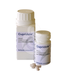 Cupridote - placedesvetos.com