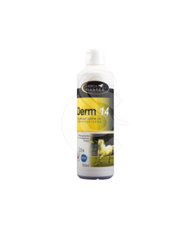 Derm 14 - placedesvetos.com