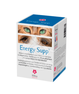 Energy Supp - placedesvetos.com