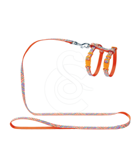 Ensemble harnais / laisse chat Hunter