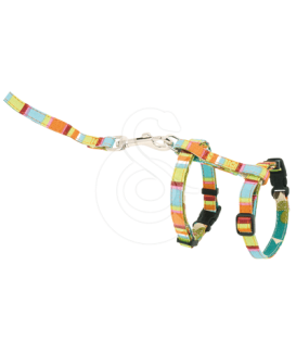 Ensemble harnais / laisse chat Hunter