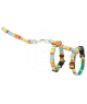 Ensemble harnais / laisse chat Hunter