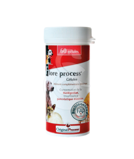 Flore Process Cn/Ct Gel - placedesvetos.com