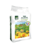 Foin Premium Pissenlits