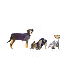 Gilet Pet Shirt pour chien - placedesvetos.com