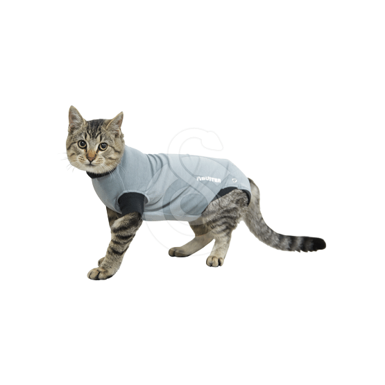 Gilet Body Suit EasyGo Buster pour chat - placedesvetos.com