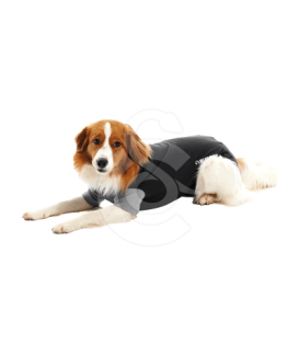 Gilet Body Suit Classic Buster pour chien - placedesvetos.com