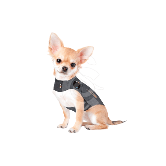 Gilet anti-anxiété ThunderShirt pour chien - placedesvetos.com