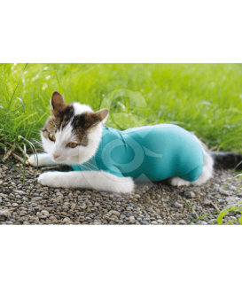 Gilet CatBody VetMedCare pour chat 