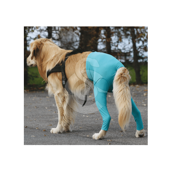 Gilet Protection arrière VetMedCare pour chien - placedesvetos.com