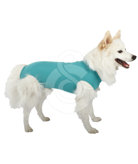 Gilet DogBody VetMedCare pour chien - placedesvetos.com
