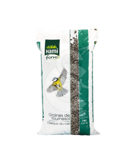 Graines de Tournesol - placedesvetos.com