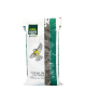 Graines de Tournesol