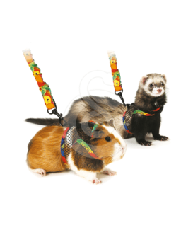 Harnais pour furet et cochon d'Inde - placedesvetos.com