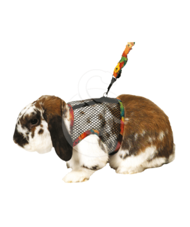 Harnais pour lapin - placedesvetos.com