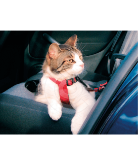 Harnais de sécurité voiture pour chat 