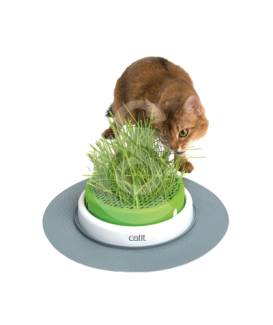 Jardin d'herbe à chat Catit Senses 2.0 