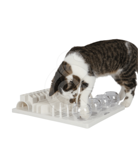 Jouet chat éducatif : Plateau Fun Board 