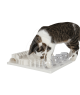 Jouet chat éducatif : Plateau Fun Board