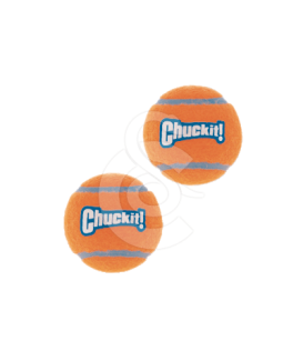 Jouet chien Chuck It : Balle - placedesvetos.com