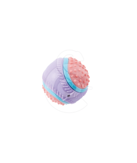 Jouet chien Buster : Balle Sensorielle - placedesvetos.com