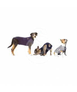 Gilet Pet Shirt pour chien