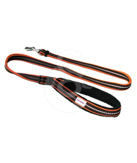 Laisse Pop - placedesvetos.com