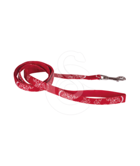 Laisse Plage Doogy - placedesvetos.com