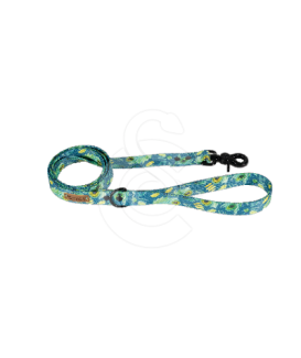 Laisse Chien Pawouaf Paon - placedesvetos.com