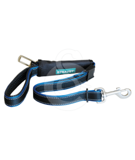 Laisse Security 2 en 1 : promenade / voiture - placedesvetos.com