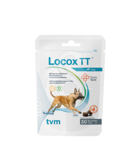 Locox TT - placedesvetos.com