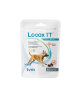 Locox TT