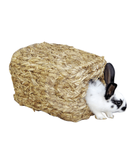 Maisonnette végétale pour lapins nains, cochon d'inde... - placedesvetos.com