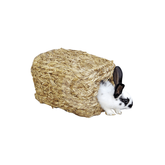 végétale pour lapins nains, cochon d