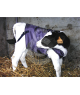 Manteau polaire pour veau