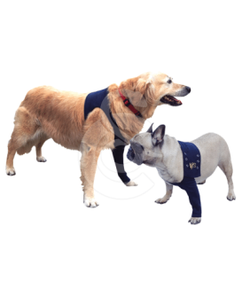 Manche antérieure Pet Shirt pour chien - placedesvetos.com