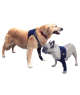 Manche antérieure Pet Shirt pour chien