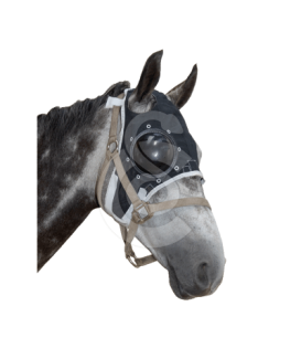 Masque de protection oculaire Equivet - placedesvetos.com