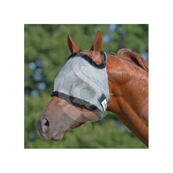 Oreilles Volantes pour Chevaux, Marine Protection